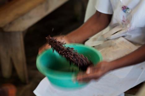 cokolada-proizvodnja-cokolade-afrika.jpg