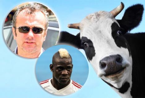 dejo-savicevic-baloteli-krava.jpg