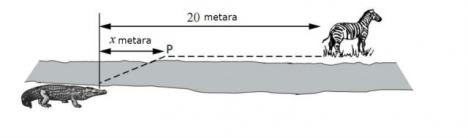 matematicki-zadatak-skotska-dijagram-krokodil.jpg