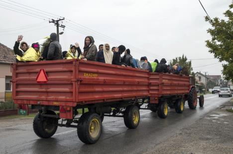 migranti-hrvatska-srbija.jpg