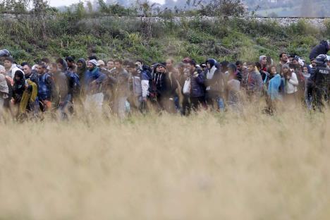 slovenija-migranti-rigonce.jpg