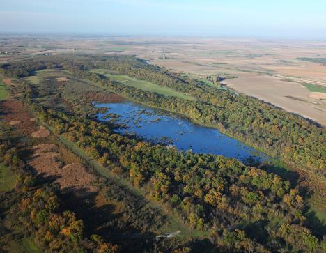 bara-sarkanj-na-lokalitetu-strbac-u-gornjem-podunavlju.jpg