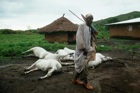 jezero-najos-kamerun.jpg