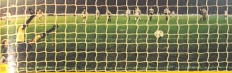 partizan-kvins-park.jpg