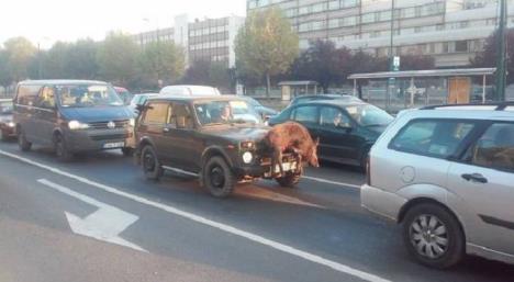 sarajevo-ulica-lovac-vepar-automobil.jpg