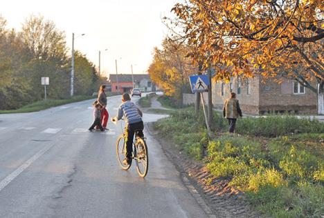 zena-poginula-umro-za-volanom-nesreca-zrenjanin.jpg