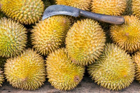 durian.jpg