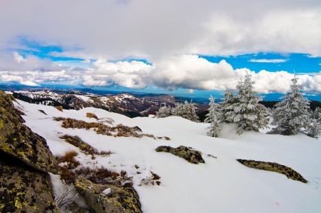 kopaonik-planina-zima-sneg-prolece-sunce.jpg