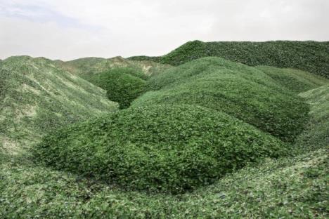 planina.jpg