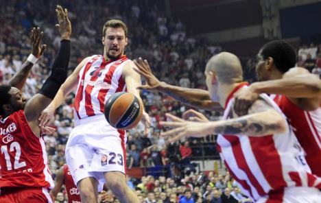 crvena-zvezda-cedevita.jpg