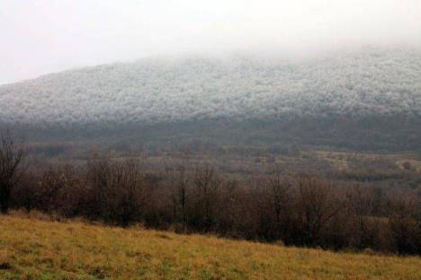 magla-vreme.jpg