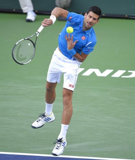 nole2.jpg