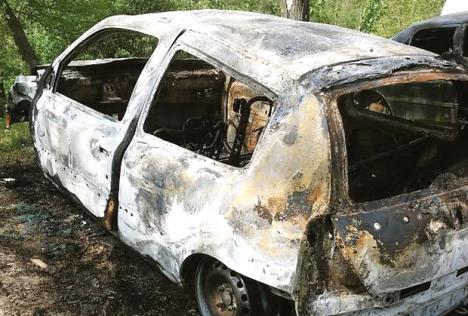 pozar-auto-zapaljen-auto-automobili-gornja-toponica.jpg