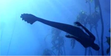 sirene.jpg