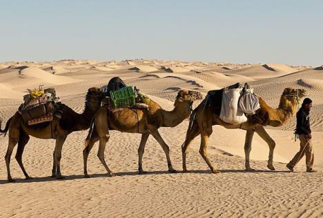 national-geographic-arfika-planeta-kontinenti.jpg