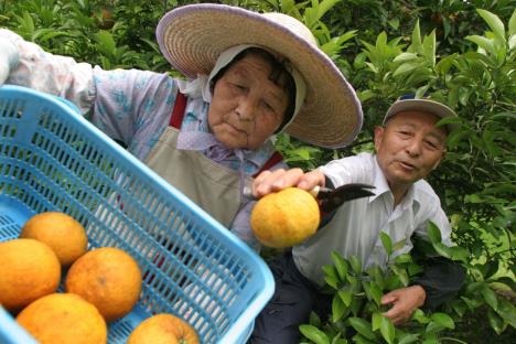 japan-penzioneri-rad.jpg