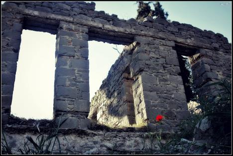 grcka-more-limnos-odmor-stara-gradjevina-cvet-crveni.jpg