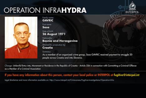 operacija-hidra-interpol-sverc-migranata.jpg