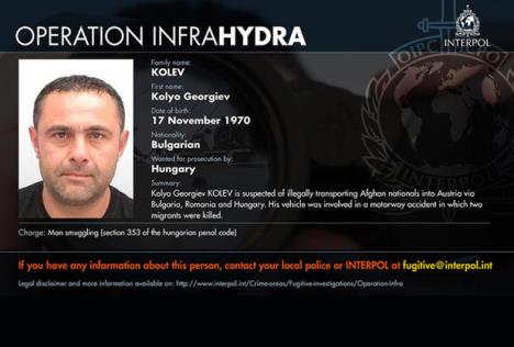 operacija-hidra-interpol-sverc-migranata.jpg