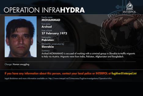 operacija-hidra-interpol-sverc-migranata.jpg