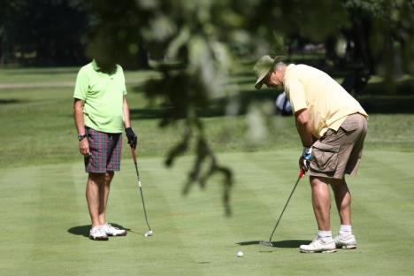 bogdan-kreckovic-golf.jpg