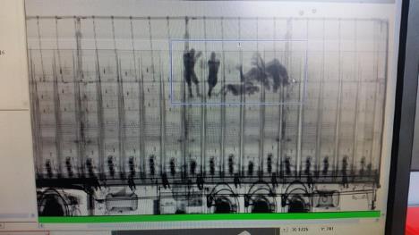 migranti-skrivanje-kamion-skener.jpg