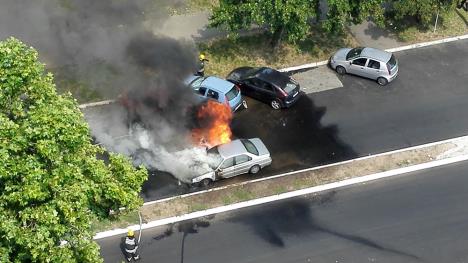 pozar-novi-beograd-auto-vatrogasci.jpg