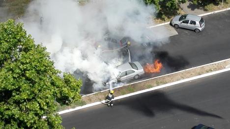 pozar-novi-beograd-auto-vatrogasci.jpg