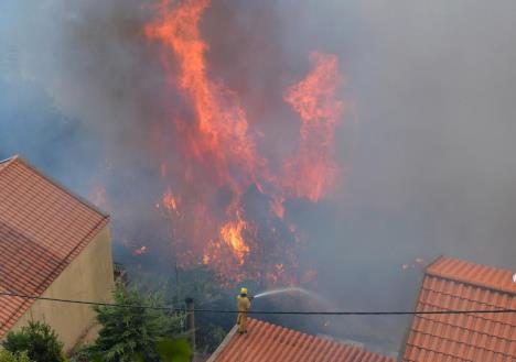 portugal-madeira-pozari.jpg