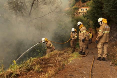 portugal-madeira-pozari.jpg