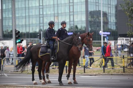 konjicka-policija-konji.jpg