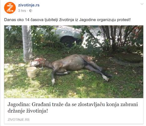 zdrebe-zlostavljanje-jagodina.jpg