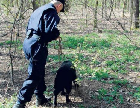 policija-bih.jpg