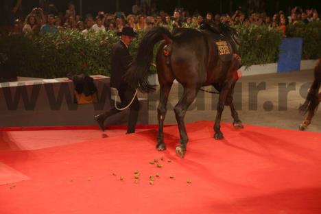 ekipa-filma-velicanstvenih-sedam-venecija-festival.jpg