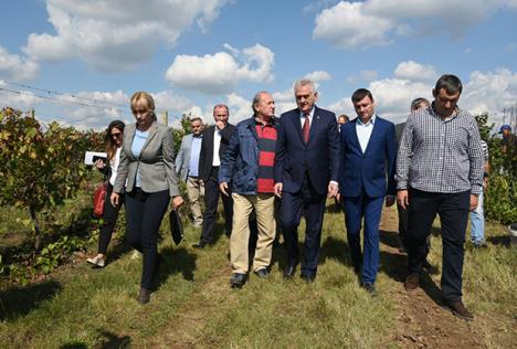 tomislav-nikolic-predsednik-srbije-cuprija-berba.jpg