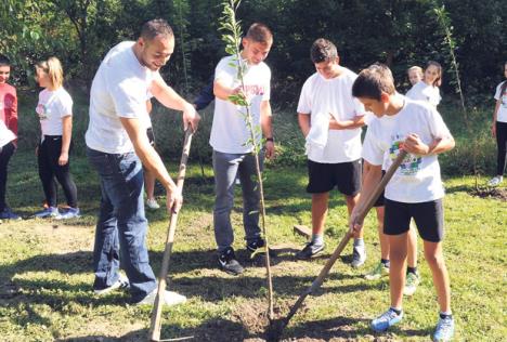 simo-boltic-marko-dragosavljevic-olimpijsku-aleja.jpg