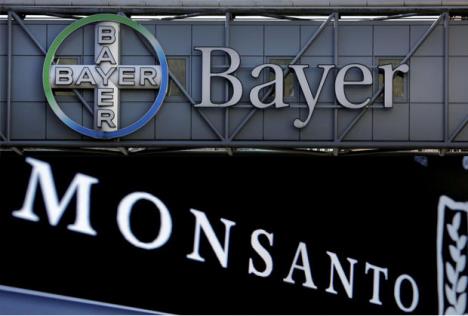 bajer-monsanto.jpg