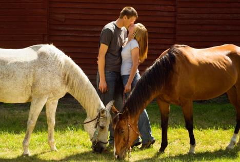 farma-konji-ljubav.jpg