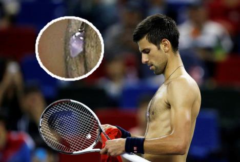 novak-djokovic-privezak.jpg