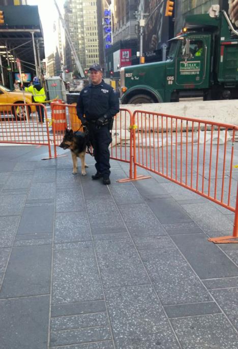 sad-izbori-njujork-policija-bezbednost.jpg