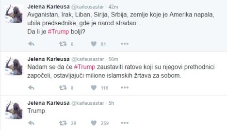 jelena-karleusa-twitter-printscreen.jpg