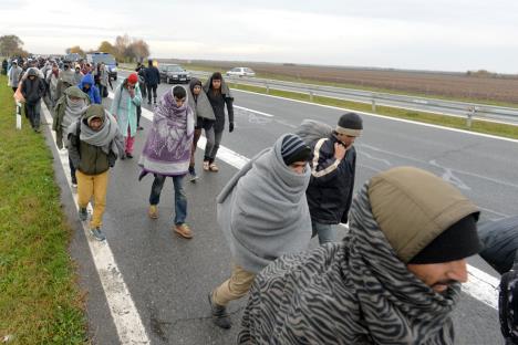 migranti-izbeglice-pecinci-granica-hrvatska.jpg