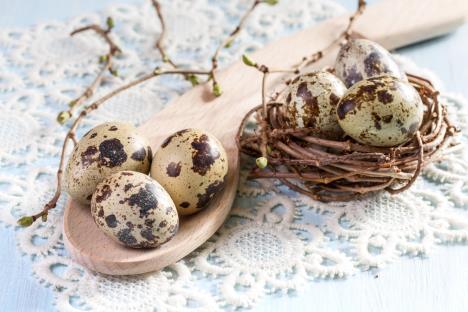 jaja-prepelica-prepelicina-jaja.jpg