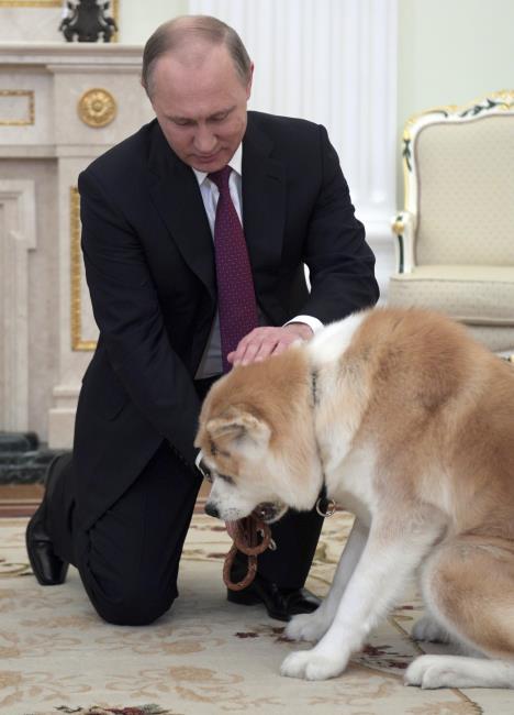 vladimir-putin-pas-japan-akita.jpg