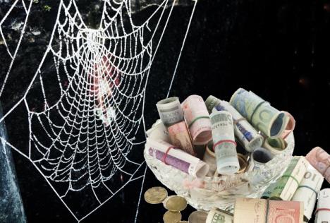 paukova-mreza-novac.jpg