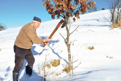 srecko-kovacevic-starac-bozic-zlatibor.jpg