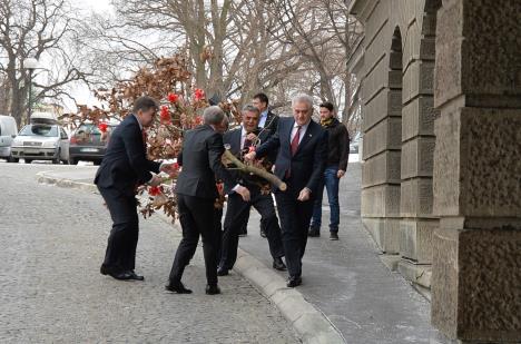 tomislav-nikolic-badnjak-zgrada-predsednistva.jpg