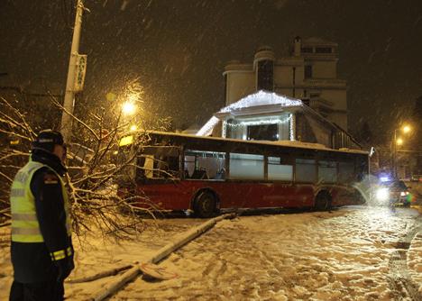 ceca-raznatovic-autobus-udes-dedinje.jpg