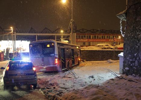 ceca-raznatovic-autobus-udes-dedinje.jpg