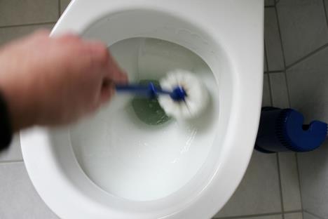 četka za wc šolju.jpg
